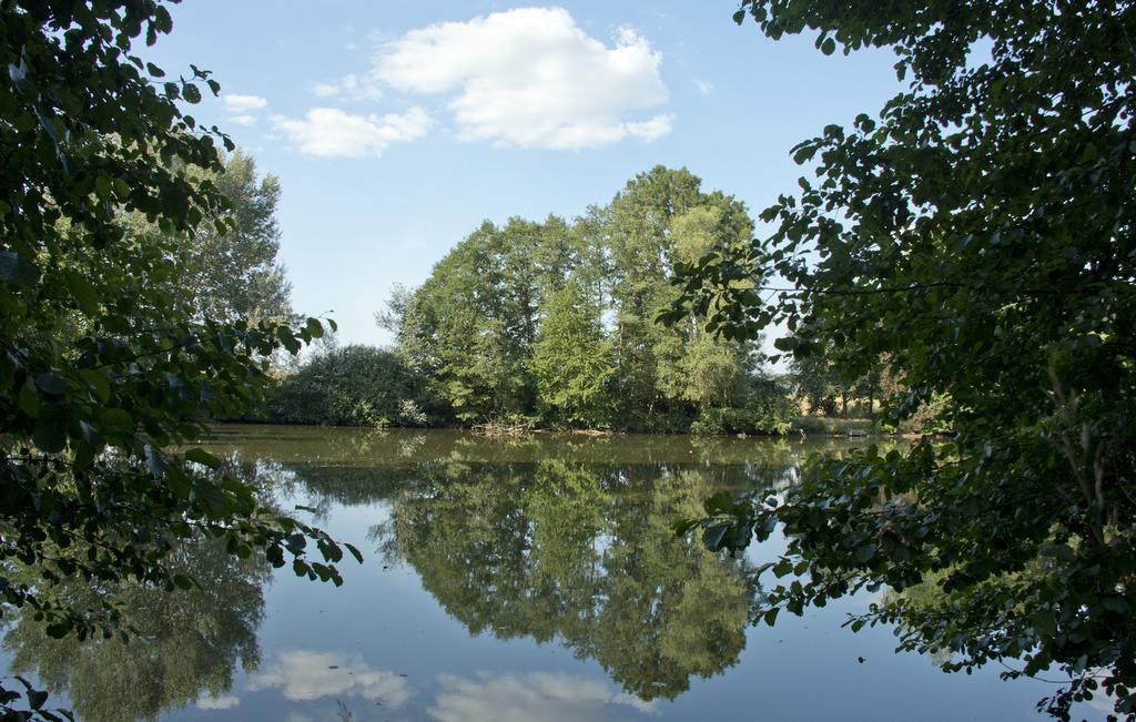 Ferienwohnung Kaim Prichsenstadt Camera foto